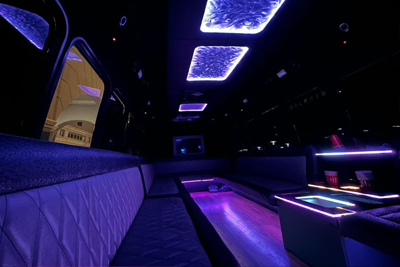 30 Passenger Party Bus thumbnail 3